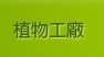 植物工廠